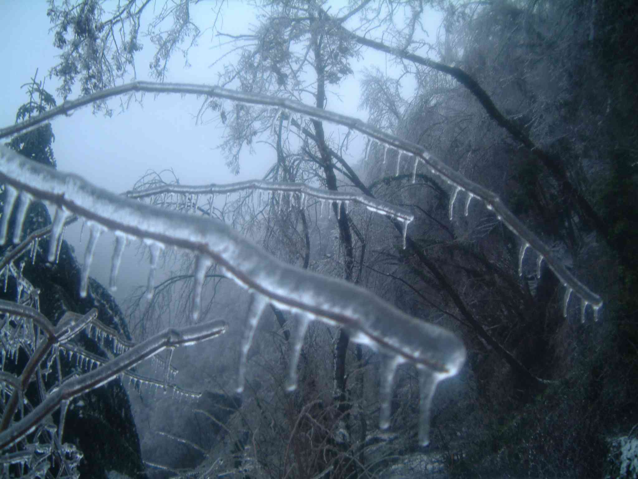  Image name: DSCF6771.JPG 
 width: 2048 pixel 
 height: 1536 pixel 
 Size: 142484 bytes 
 Click to enlarge 